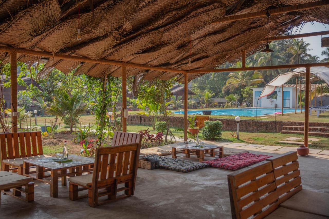 Radhika Eco Resort Arambol Kültér fotó